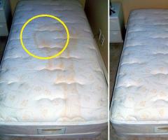 So entfernen Sie Urinflecken von einem Sofa, einer Matratze, einem Teppich oder einer Kleidung